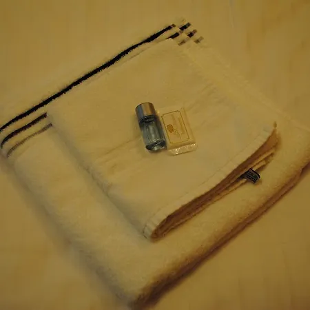 Antica ゲストハウス リンツ