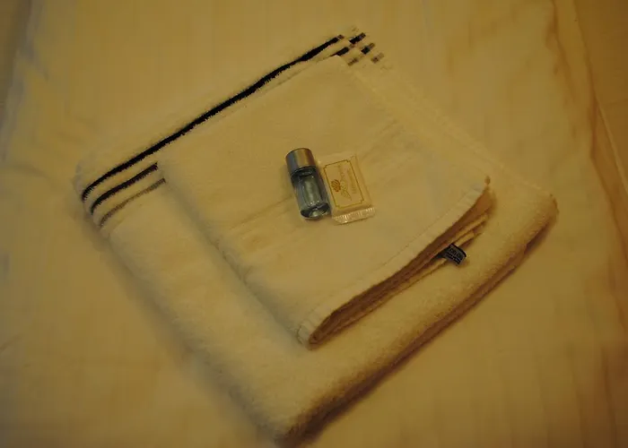 Antica ゲストハウス リンツ